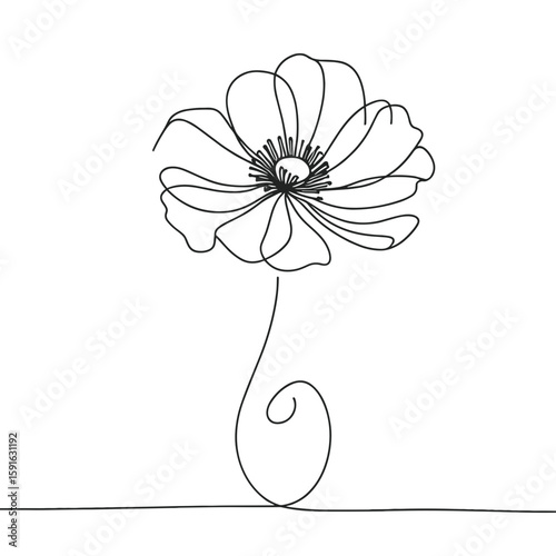Single anemone flower illustrated in minimalist line art style  