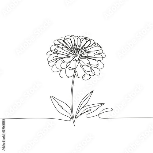 Single line drawing of zinnia flower in minimalist style  