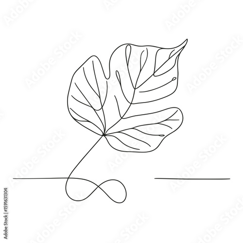 Single line art of a fig leaf in minimalist style  