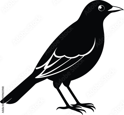 Minimalist Myna Bird Silhouette Illustration.