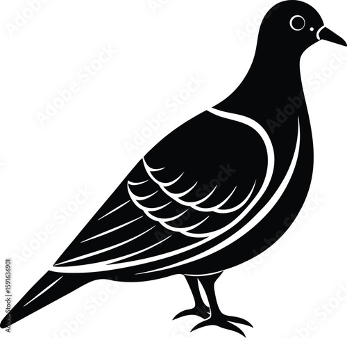 Minimalist Turtledove Bird Silhouette Icon.