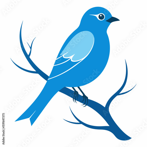 Bluebird perched on a dark blue branch vector graphic tree