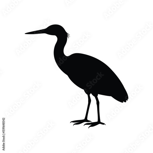 A bittern bird silhouette vector illustration.