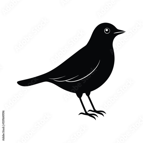 A lark bird silhouette vector illustration.