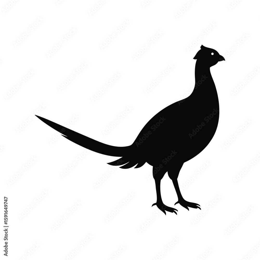 Fototapeta premium A pheasant bird silhouette vector illustration.