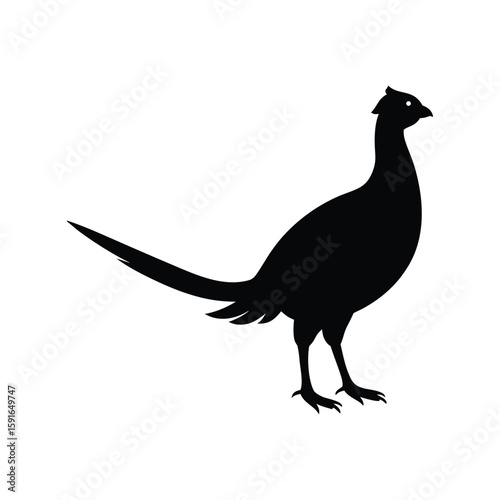 A pheasant bird silhouette vector illustration.
