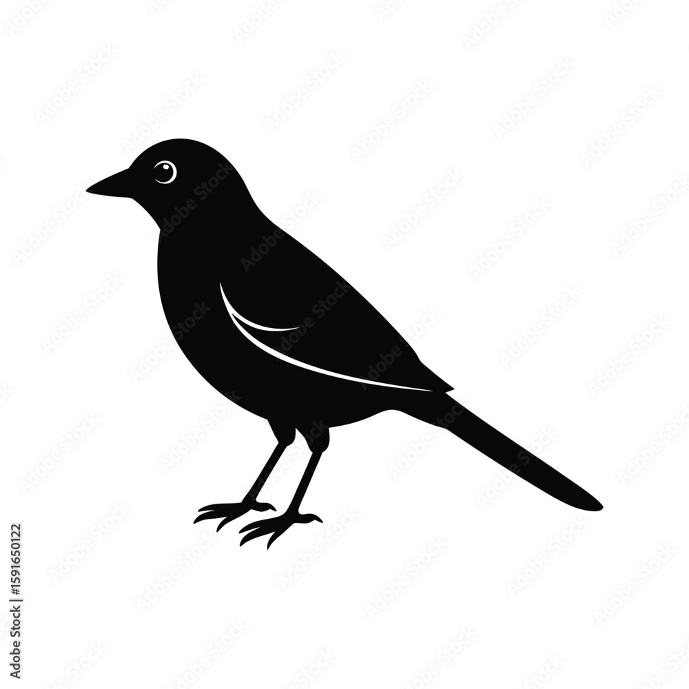 Fototapeta premium A shrike bird silhouette vector illustration. 