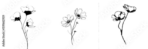 A white background provides the setting for modern abstract flowers