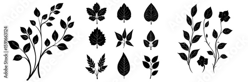 Modern illustration featuring curly branches silhouettes with leaves isolated on white background