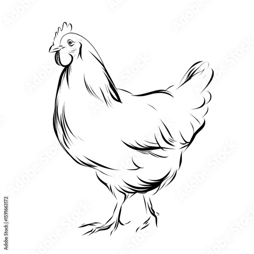 The image features a modern black hen silhouette on a clean white background