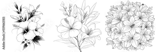 A modern sketch drawing of a bouquet with hibiscus and lily flowers, presented in a detailed black and white composition, featuring a bunch of spring and summer flowers in a botanical illustration