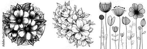 Isolated beautiful flowers and leaves appear in monochrome black and white