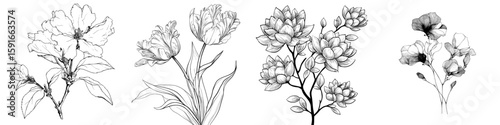 A hand drawn flower is presented, featuring flower outlines in a sketch style, isolated on a white background, and created with black ink for use in coloring books