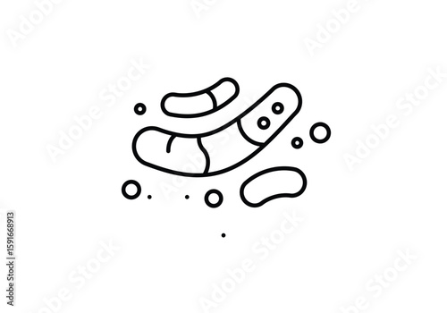 Lactobacillus drawing. It is a black and white outline image depicting Lactobacillus bacteria, beneficial microorganisms commonly found in probiotics. Vector sketch line art draw.