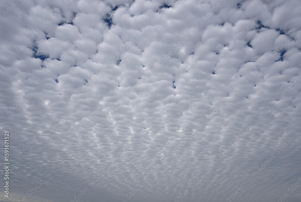 Cirrostratus Enigma Highaltitude sheetlike clouds that create a Cirrostratus Enigma Highaltitude sheetlike clouds that create a