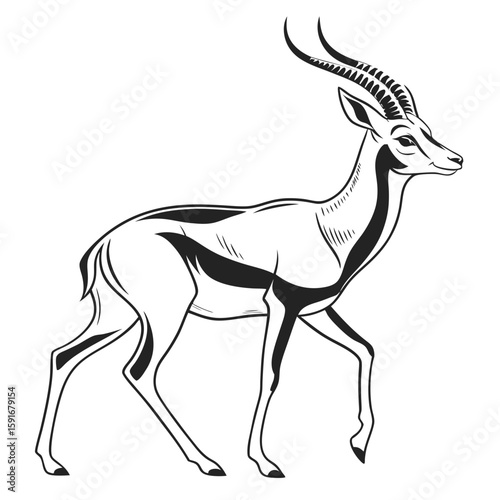 A graceful gazelle walks with elegant horns