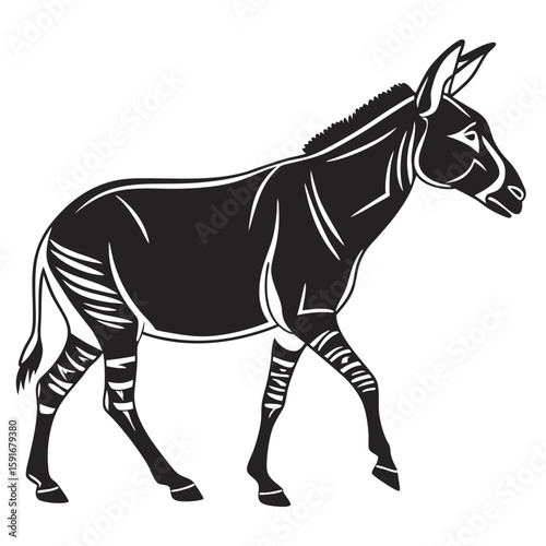 Zebrastriped donkey walking isolated on white background