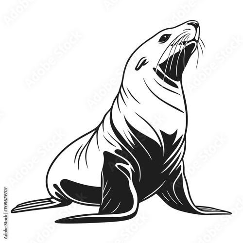 Stylized black and white seal looking upwards