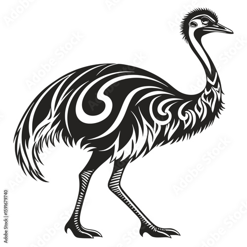 Emu bird with distinctive markings walking in profile