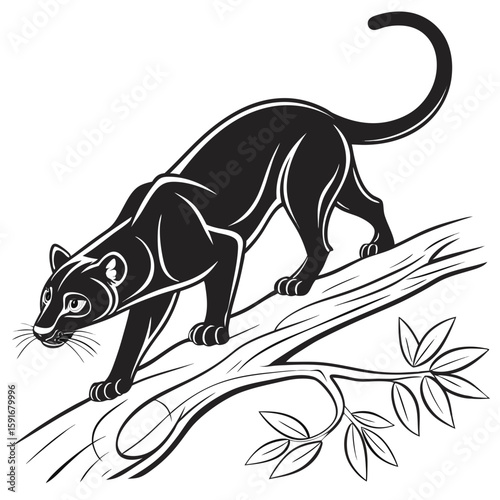 A black panther walks along a thick tree branch, moving stealthily