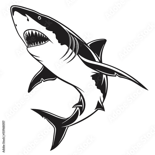A black and white illustration of a shark isolated on white background