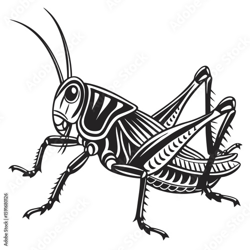 A black and white illustration of a grasshopper isolated on white background