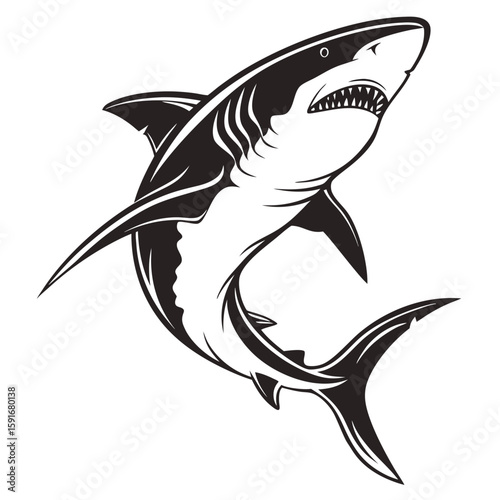 A black and white illustration of a shark isolated on white background