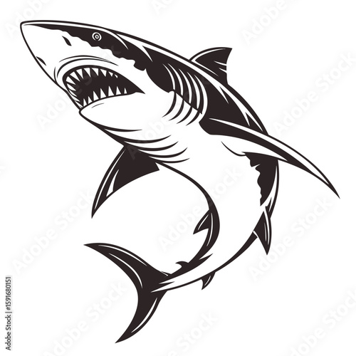 A black and white illustration of a shark isolated on white background