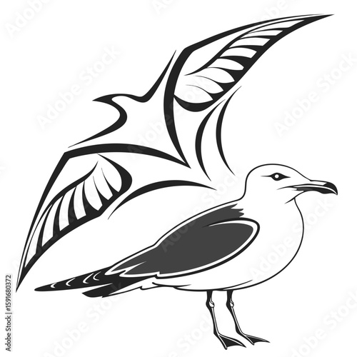 A seagull illustration with a flying bird silhouette above