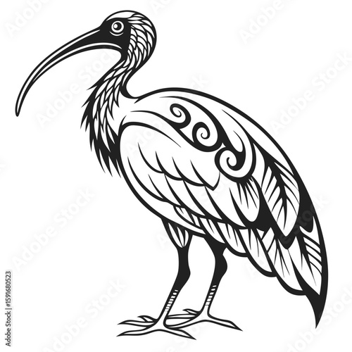 An elegant ibis bird with a stylized tribal pattern