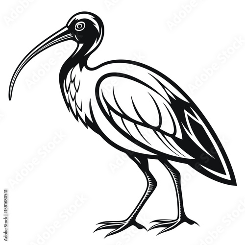 A stylized ibis bird with a long curved beak