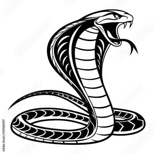 A striking cobra snake in an aggressive pose, ready to strike