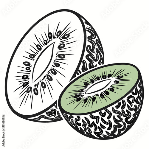 A vibrant illustration of a sliced kiwi fruit
