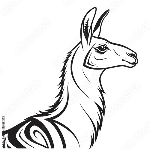Llama head profile illustration isolated on white background