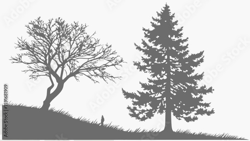 Silhouetted trees against a light background, capturing a serene moment in nature.