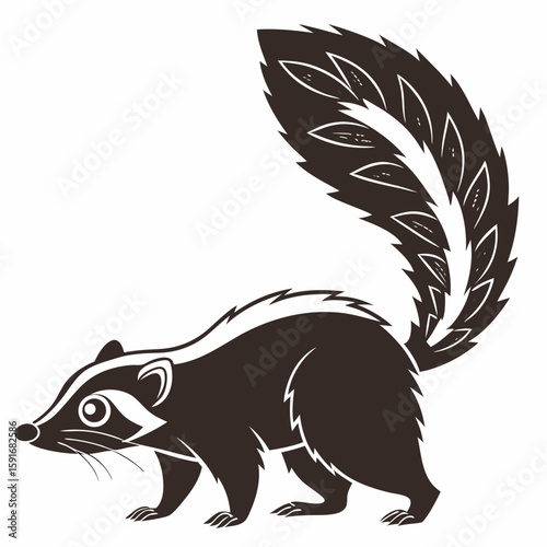 A cute skunk with a bushy striped tail isolated on white background