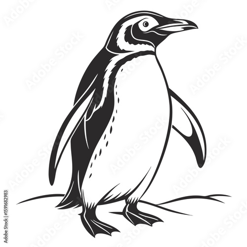 A graphic illustration of a penguin standing on snow