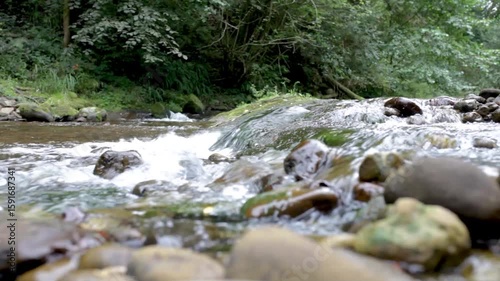 River at ground level point of view