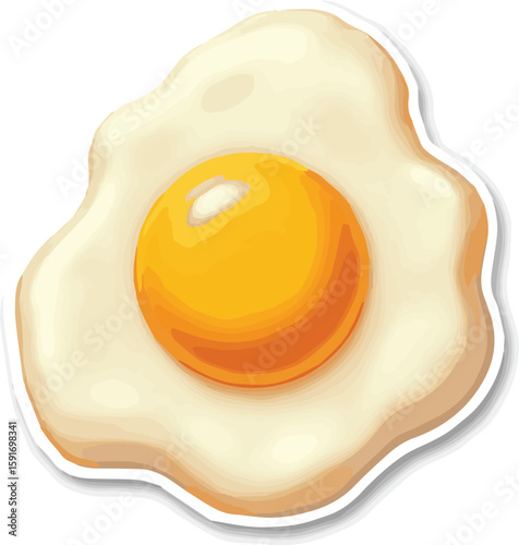 fried egg on a white background