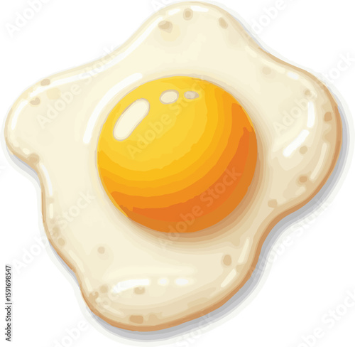 fried egg on a white background