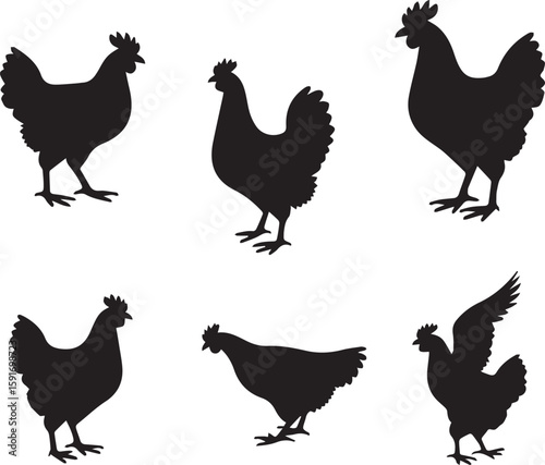 vector set of chicken 100% fully editable vector file.