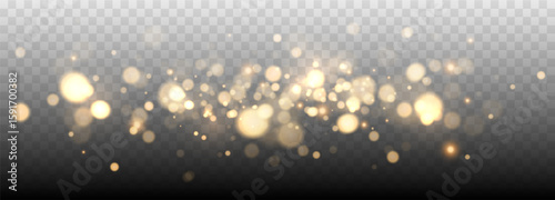 Gold bokeh lights isolated. Vector background with gold sparkles	