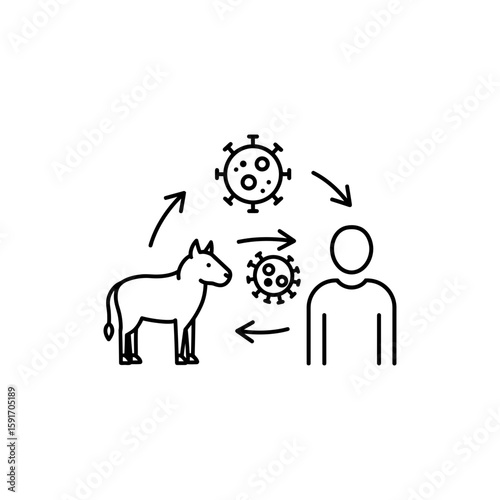 Outline of Viral Zoonotic Transmission