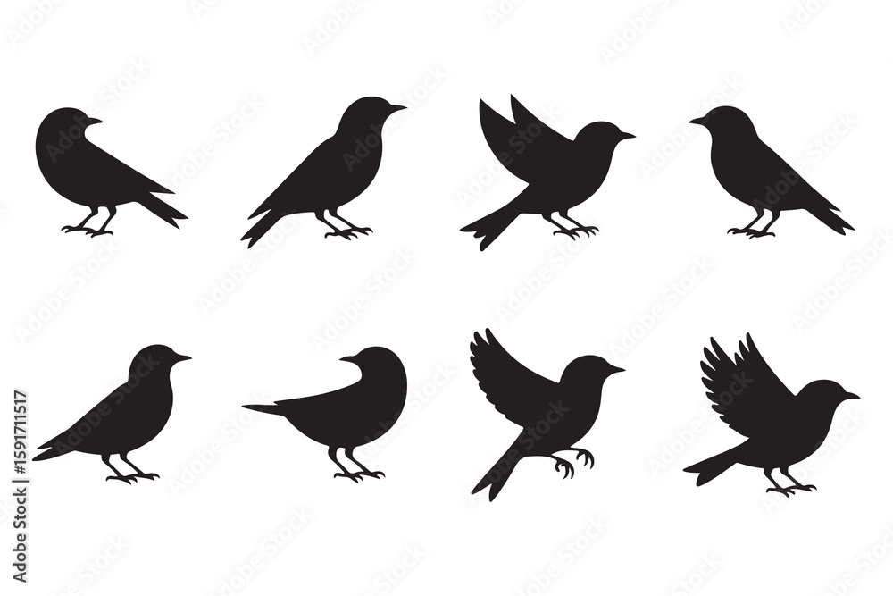 Fototapeta premium Black Bird Silhouette Icon Set | Flying Bird Shadow Vector Collection | Wildlife Clipart Pack