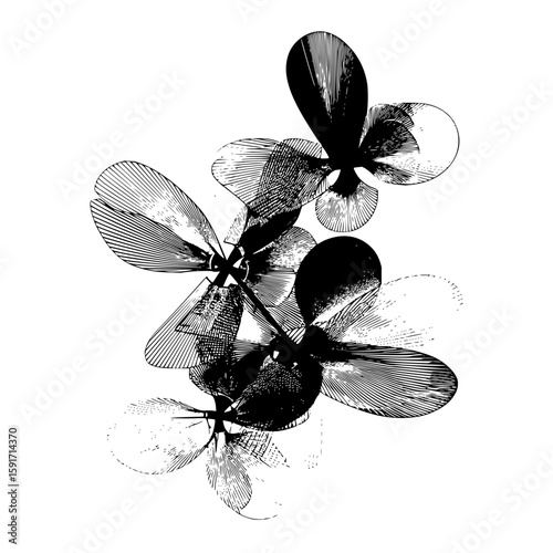 Abstract floral arrangement with textured petals in black and white artistic illustration style design