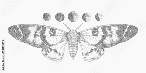 Butterfly and moons, stipple pen sketch, halftone gradients, photocopy noise and threshold effects, magazine cutout style.