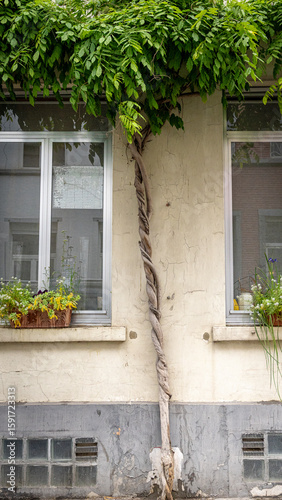 Brüssel - Belgien / Belgium - Mai 