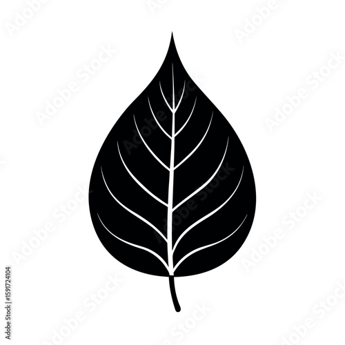 Betel leaf illustration in minimal black line Line Art Vector illustration