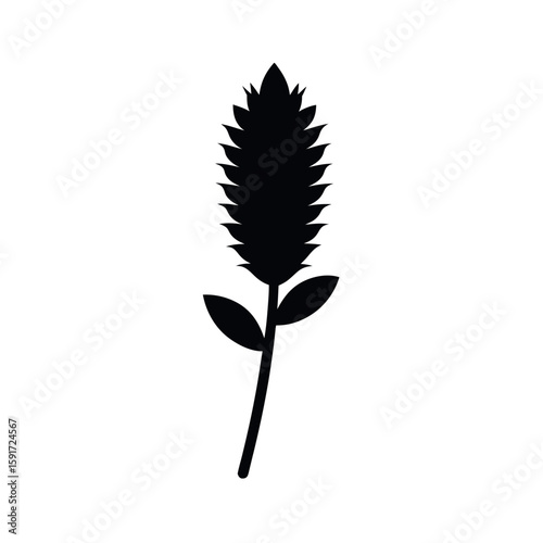 Bottlebrush stem in minimal black botanical form Line Art Vector illustration