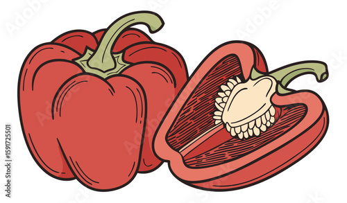 vector illustration of a tomato